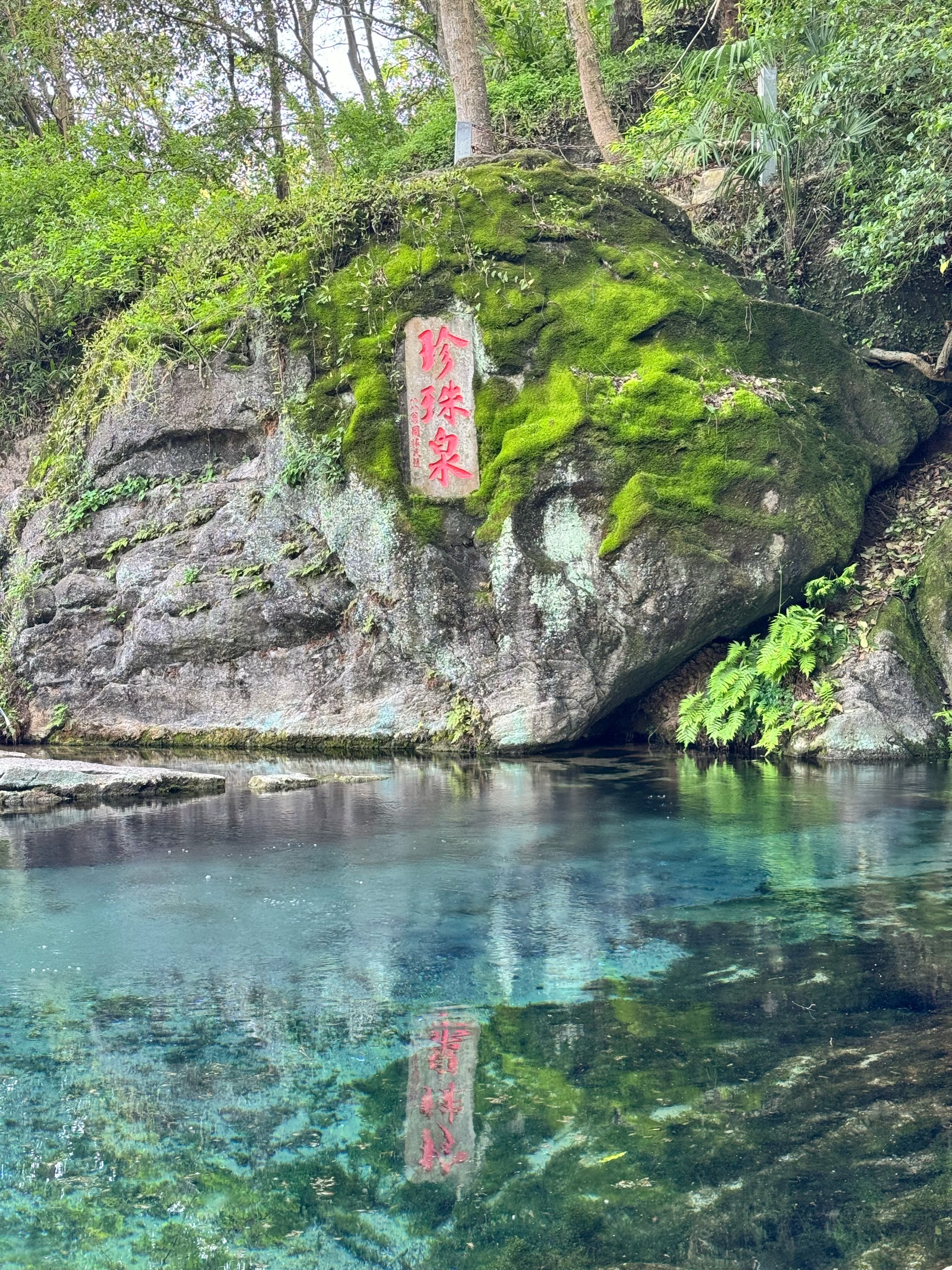 Pearl Spring landscape